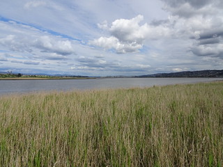 38051826882_5363ac65cf_n.jpg