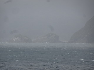 47025353522_2520ae68db_n.jpg