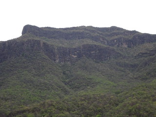 41152301505_787d6a34d5_n.jpg