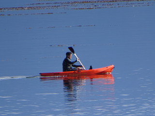 32758959153_fe15637b59_n.jpg