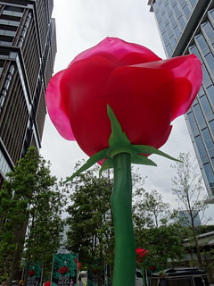 42504708162_bdf006102a_n.jpg