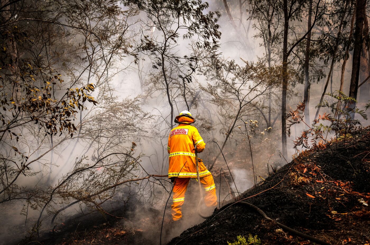 Back Burning Operations On The Outskirts of Sydney As The City's Wildfire Smoke Declared a 'Public Health Emergency'