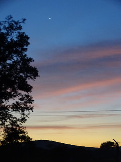 34194725015_38e8575ed0_n.jpg