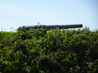 42381791062_924fbc05dd_n.jpg