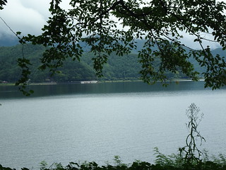 43783124975_9f600f0d76_n.jpg