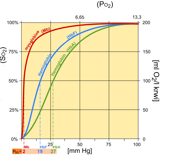 Fetal_hemoglobin_chart.jpg