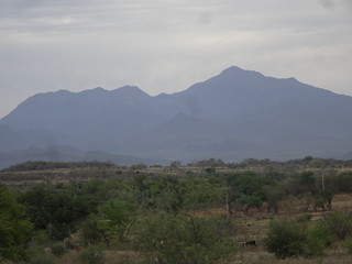 28179468608_1fd2491184_n.jpg
