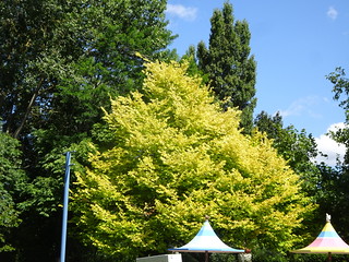 32303867927_82d95a6125_n.jpg
