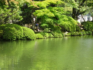 44824762252_aa2af516a5_n.jpg