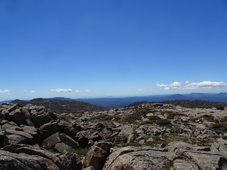45802466665_6039cbd527_n.jpg
