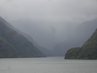 46163899195_602f786ef0_n.jpg