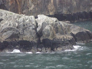 40090289753_275997c369_n.jpg