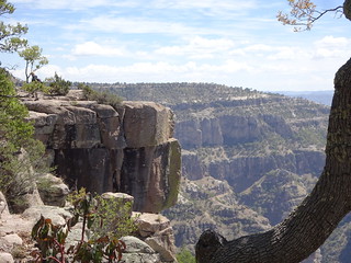 41164137295_882515fce1_n.jpg