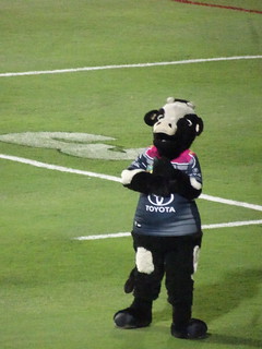 43519749444_0cfef7c571_n.jpg