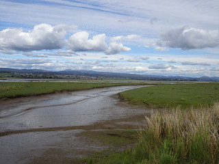 24230548188_91149ebbc3_n.jpg