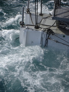 34066107695_fa160359ea_n.jpg