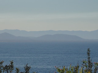 28671416692_45477c6ed7_n.jpg
