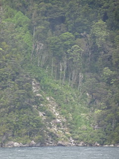 47025242182_6d36abd0e0_n.jpg