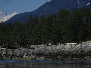 41632982615_c4dc7db096_n.jpg