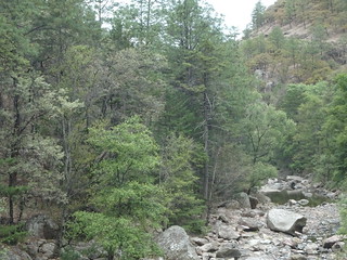 42008061082_effd72618a_n.jpg