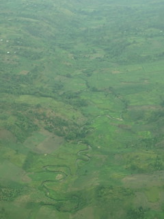 34033564362_5012e8ccce_n.jpg
