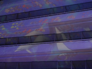 45142252892_f56b5683d6_n.jpg