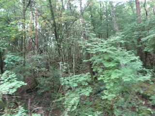 43973922954_f6798c3459_n.jpg