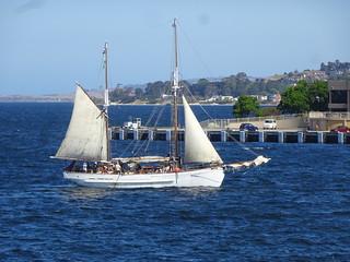 38351304031_292fe44220_n.jpg