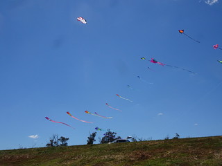 45259924234_ee7d4d28be_n.jpg