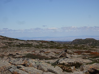 45993196584_99249d712c_n.jpg