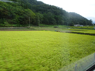 29713161277_51bb06faaa_n.jpg