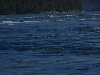 27664619827_46089c0876_n.jpg