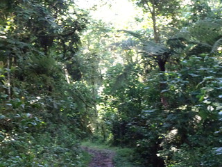 33801937120_70bb4977cd_n.jpg