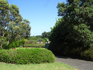 40280999563_6d26d3cda1_n.jpg