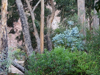 32584602034_1ccce2dfd5_n.jpg