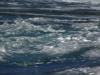 41812337884_b1c1c73657_n.jpg
