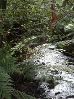 37928109476_9d591f6aa3_n.jpg