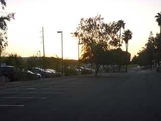 41646494372_599e6d4a2f_n.jpg