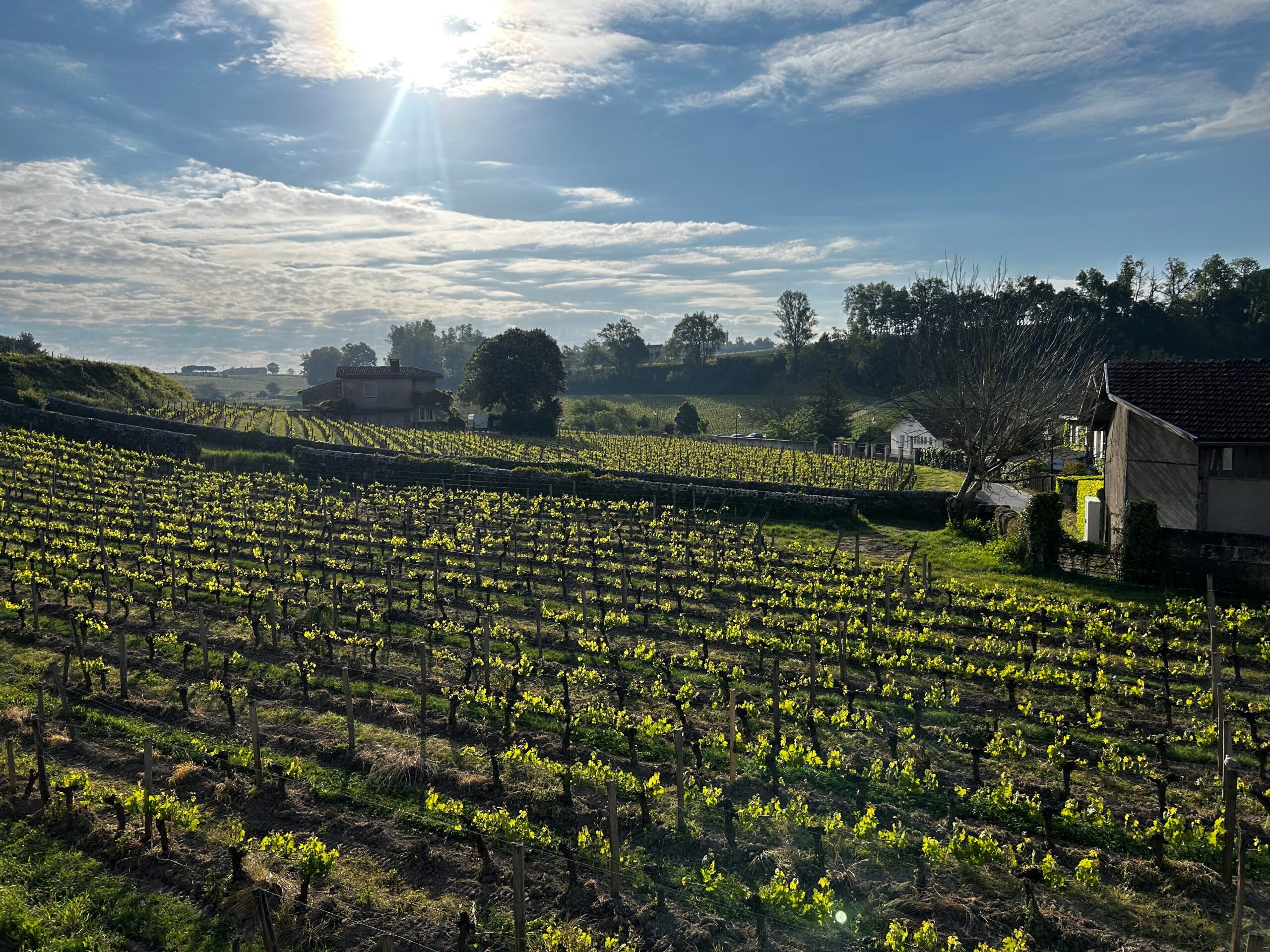 www.pswineselections.com.au