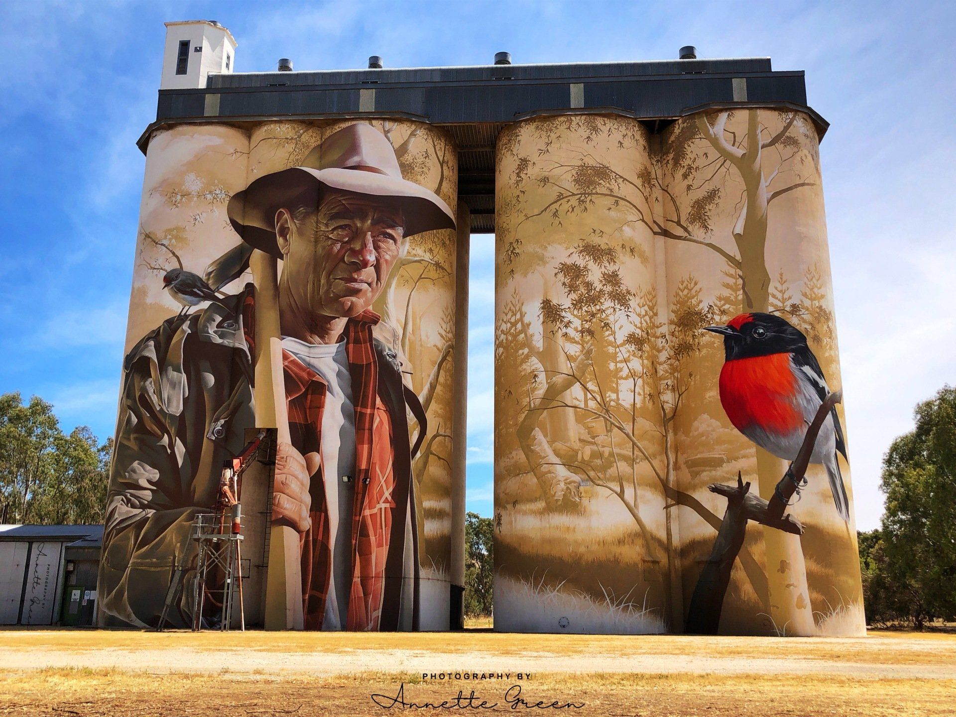 www.australiansiloarttrail.com