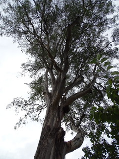 33572959175_4085e1522d_n.jpg