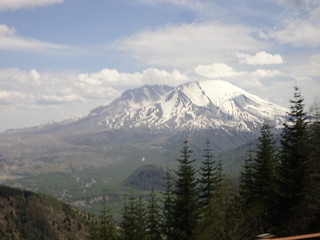 41462587525_b9265b5d49_n.jpg