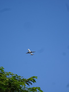 29867065908_4ef61d9a17_n.jpg