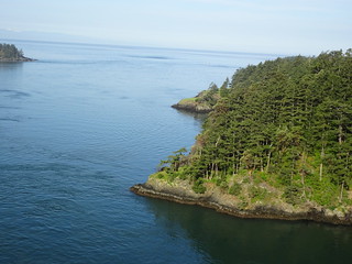 42381800582_96659b89aa_n.jpg