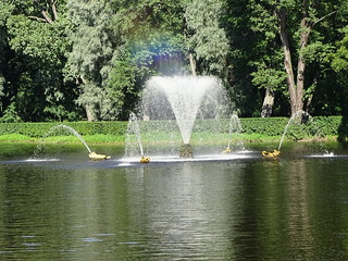 29120888261_033db6c888_n.jpg