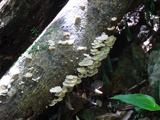 42947895065_54d02d9902_n.jpg