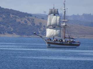 38320343322_671cb772d9_n.jpg