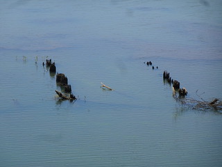 43257644864_27cba8756a_n.jpg