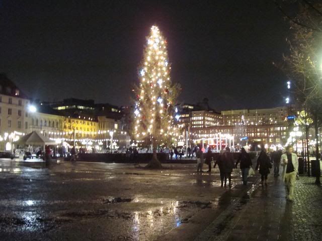 DSC01143.jpg