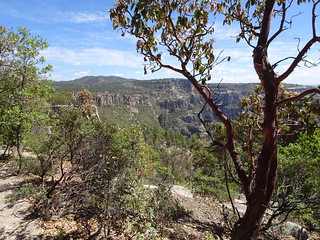 42020120072_e497e44595_n.jpg